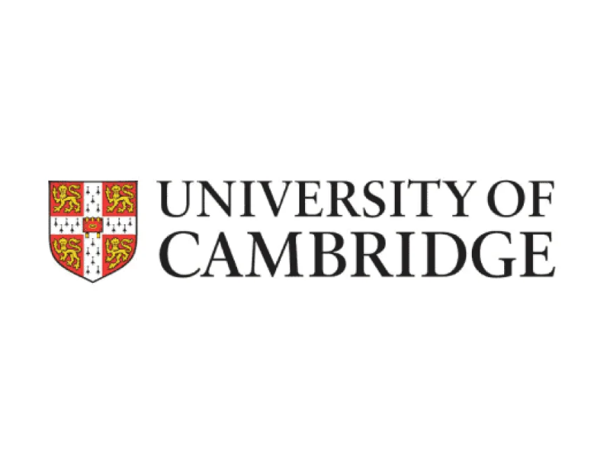 Boustany MBA Scholarship at Cambridge University, in the U.K.